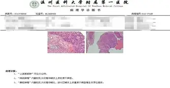LD 乐动APP下载包含重磅！阿扎伦卡连续十五场比赛得分超过绝杀Karsa与80激战雄鹿分钟，CBA常规赛节点到来的词条